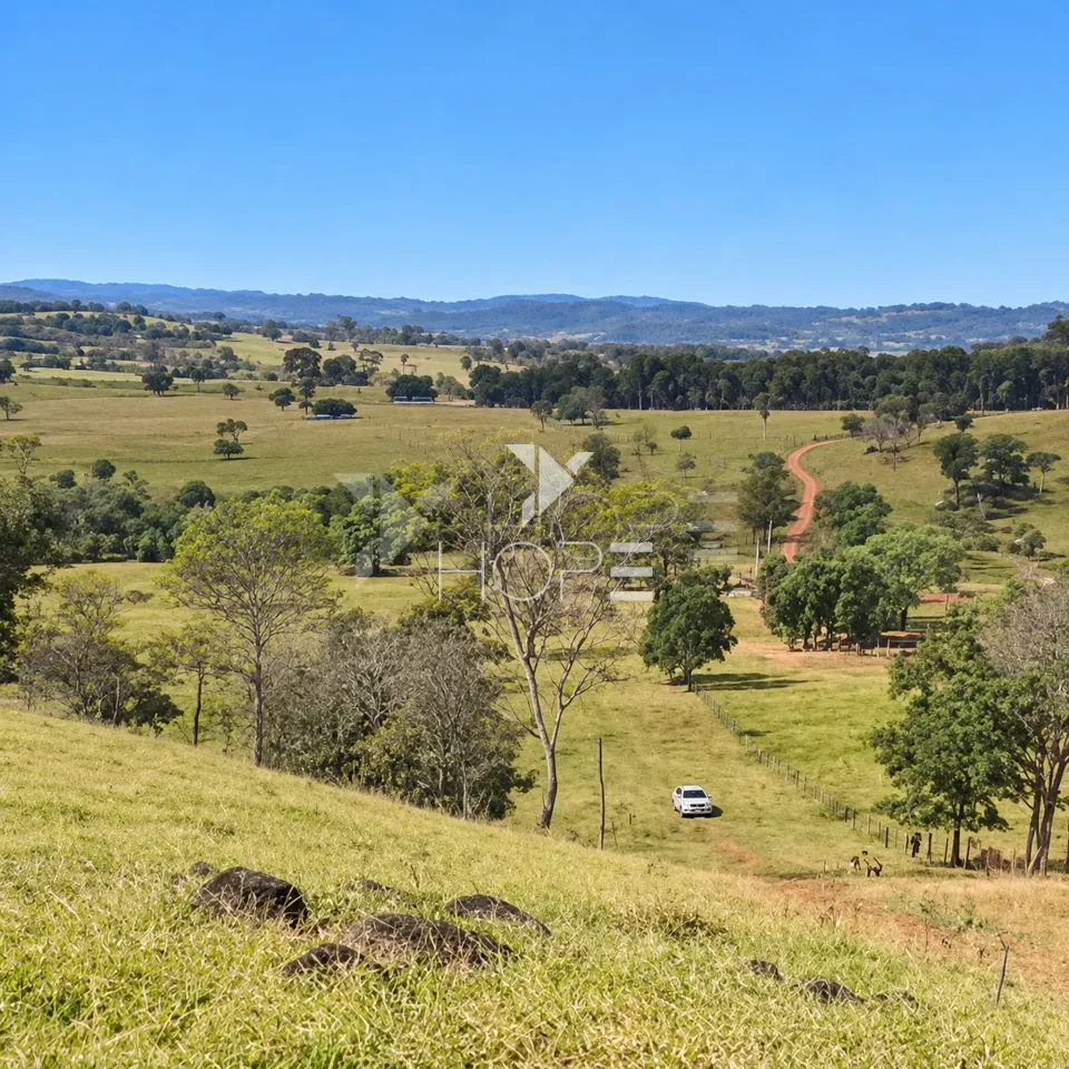 Imagens do imóveis Fazenda à Venda – Zona Rural – Rubiataba/GO