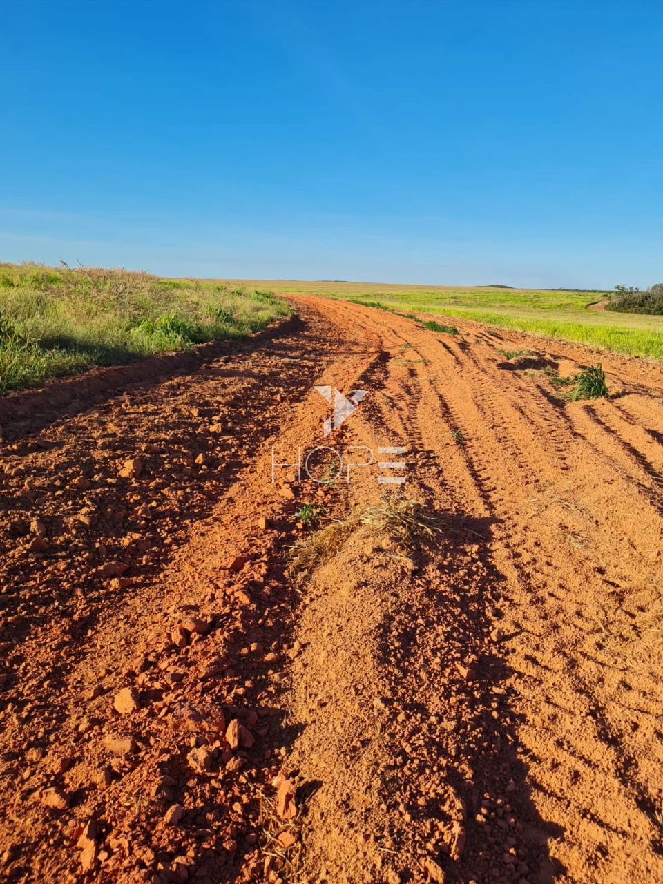 Imagens do imóveis Fazenda à venda 397 alqueires dupla aptidão com lavoura em formação – Tocantins – região de Palmas