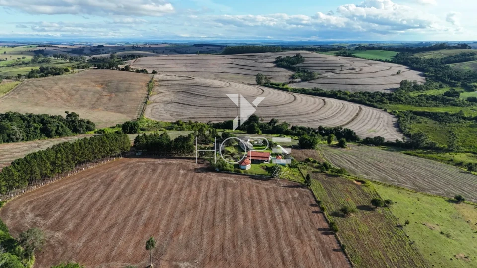 Imagens do imóveis Sítio porteira fechada à venda com 17.66 alqueires - agricultura e pecuária - Itapetininga SP