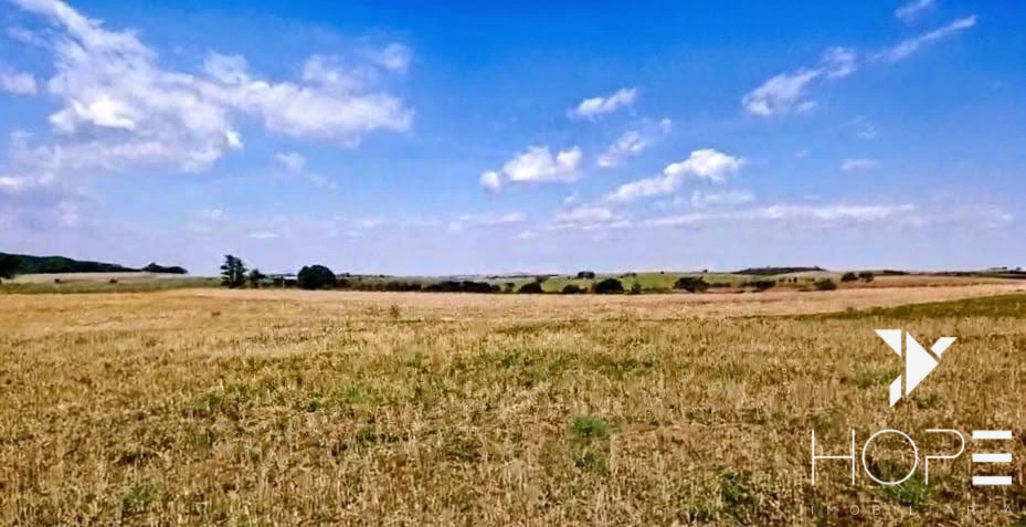 Fazenda à Venda – 155 Alqueires – Nossa Senhora das Graças/PR