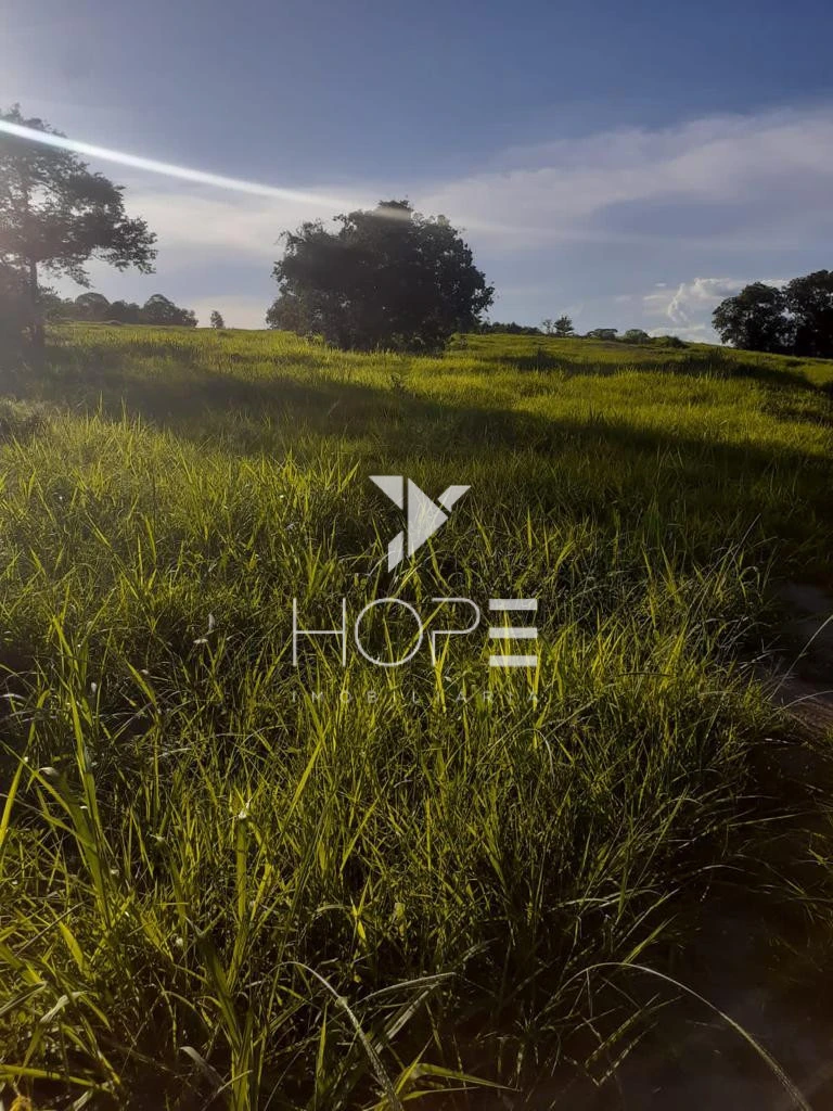 Fazenda à Venda – 1.033 Alqueires – Região de Peixe/TO – Dupla Aptidão