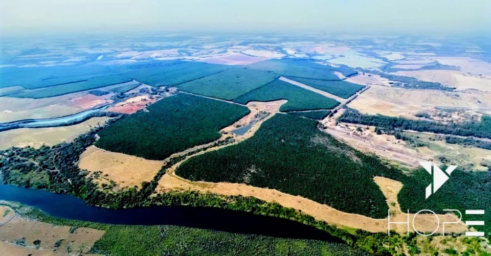 Fazenda com Eucalipto à Venda em Itu/SP – Renda Garantida com Arrendamento à Suzano
