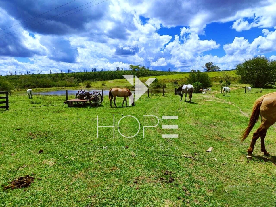 Fazenda à Venda na Região de Botucatu/SP – 294 Alqueires com Frente para a Rodovia Castelo Branco