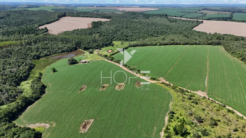 Imagens do imóveis Fazenda à venda com 75 alqueires (181.5 hectares) - agricultura e eucalipto - São Miguel Arcanjo SP
