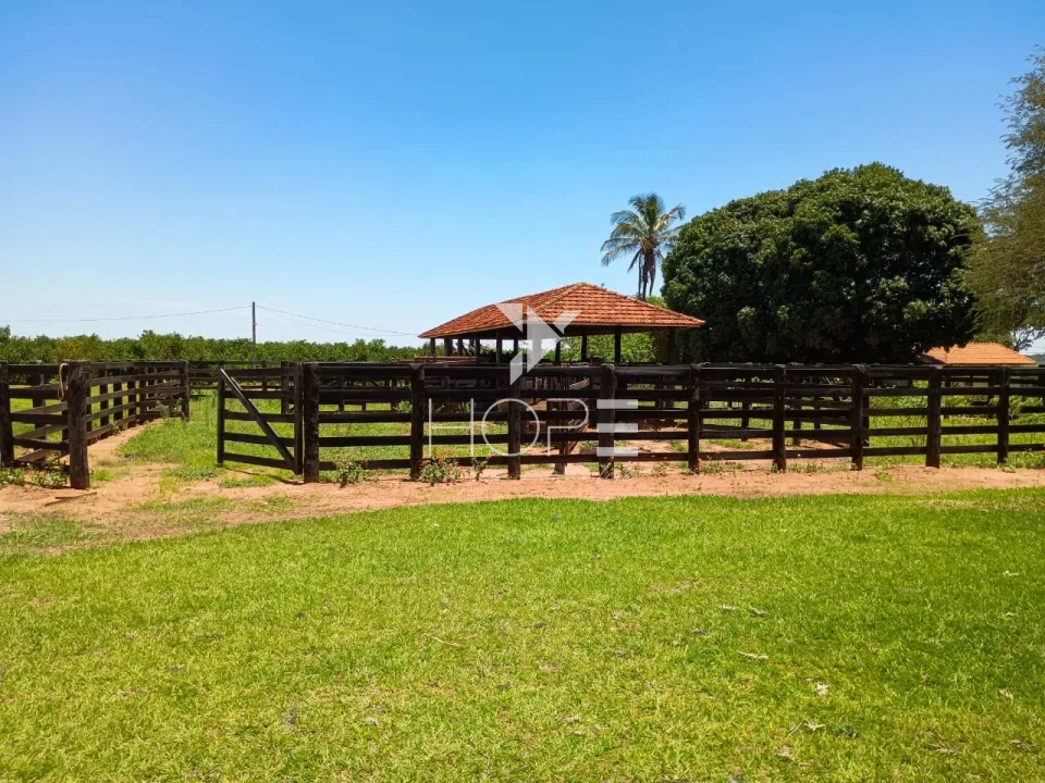 Imagens do imóveis Fazenda de laranja à venda com 77.5 alqueires - 77.150 pés - certificado para exportação - Região de Marília SP