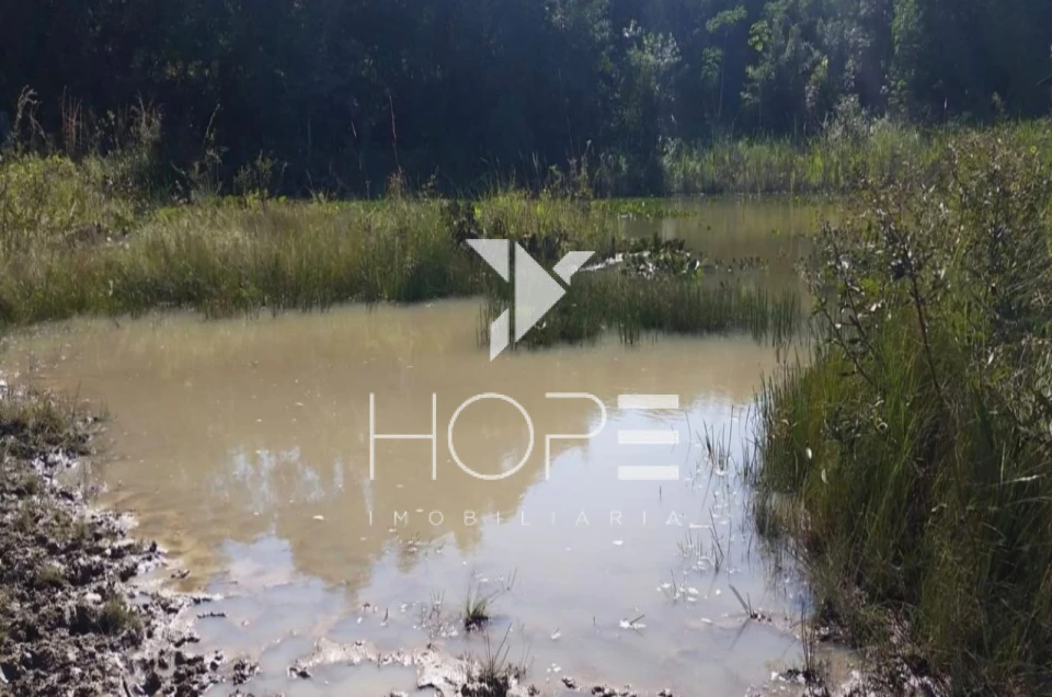 Imagens do imóveis Fazenda à Venda - 19 Alqueires - Dupla Aptidão - Região de Prata MG - Entre Prata e Uberlândia - Triângulo Mineiro