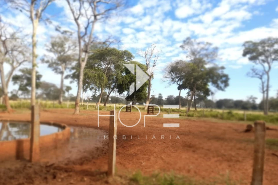 Imagens do imóveis fazenda à venda 622 alqueires dupla aptidão margem de rio – município de Bataguassu – Mato Grosso do Sul