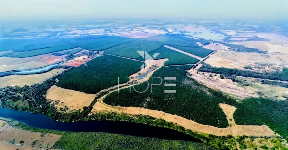 Imagens do imóveis Fazenda à venda com Eucalipto 321 alqueires - 777 hectares - arrendada Para Suzano - beira Rio Tietê - Itu SP