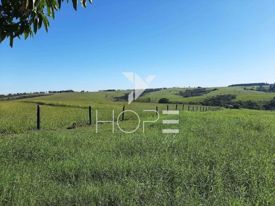 Imagens do imóveis Fazenda à venda 217 alqueires pecuária – Moreira Sales – Paraná