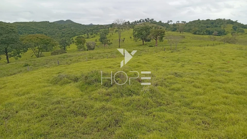 Imagens do imóveis Fazenda à venda com 260 alqueires - 201 formados - confinamento - apta para pivô - Mozarlândia GO