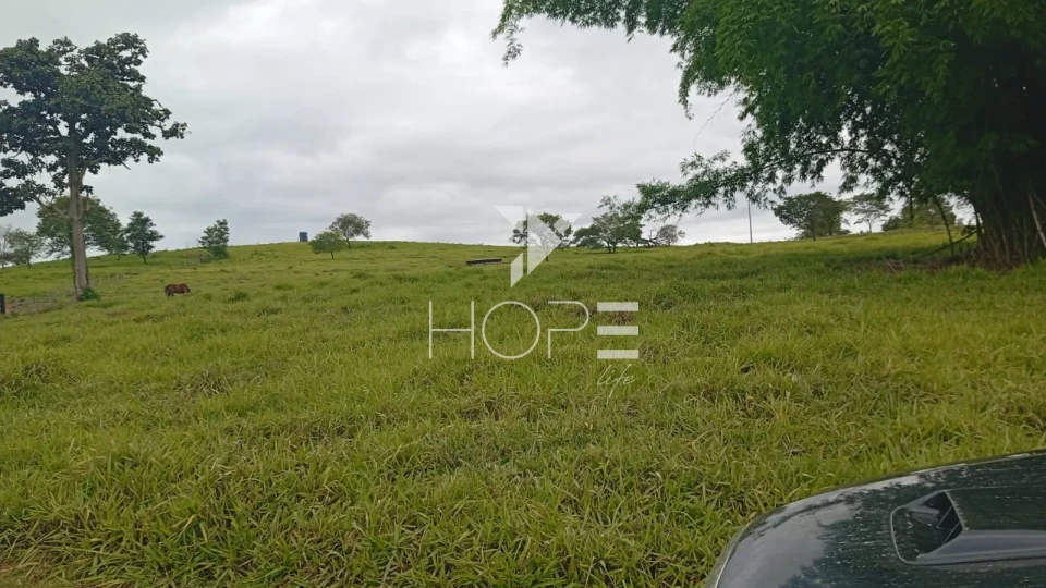 Imagens do imóveis Fazenda à venda com 260 alqueires - 201 formados - confinamento - apta para pivô - Mozarlândia GO