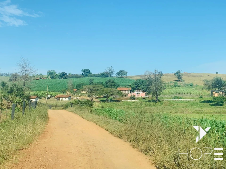 Imagens do imóveis Fazenda agrícola e pecuária à venda – 84 alqueires – Sertanópolis/PR