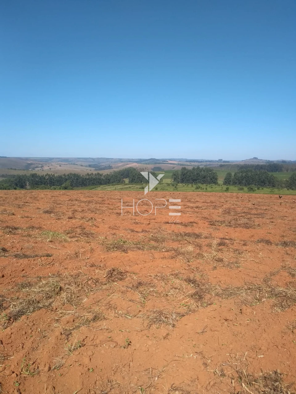 Imagens do imóveis Fazenda à venda 1.006 hectares cafeeira – região de Campos Altos – Minas Gerais