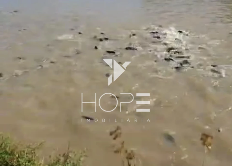 Imagens do imóveis Sítio à venda 14 alqueires para pecuária - represas e barracões – Distrito Primavera – entre Uraí e Leópolis/PR