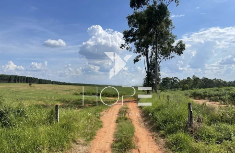 Imagens do imóveis Fazenda à Venda Proximo a Marília/SP – 146 Alqueires – 90% Aproveitamento – Rica em Água