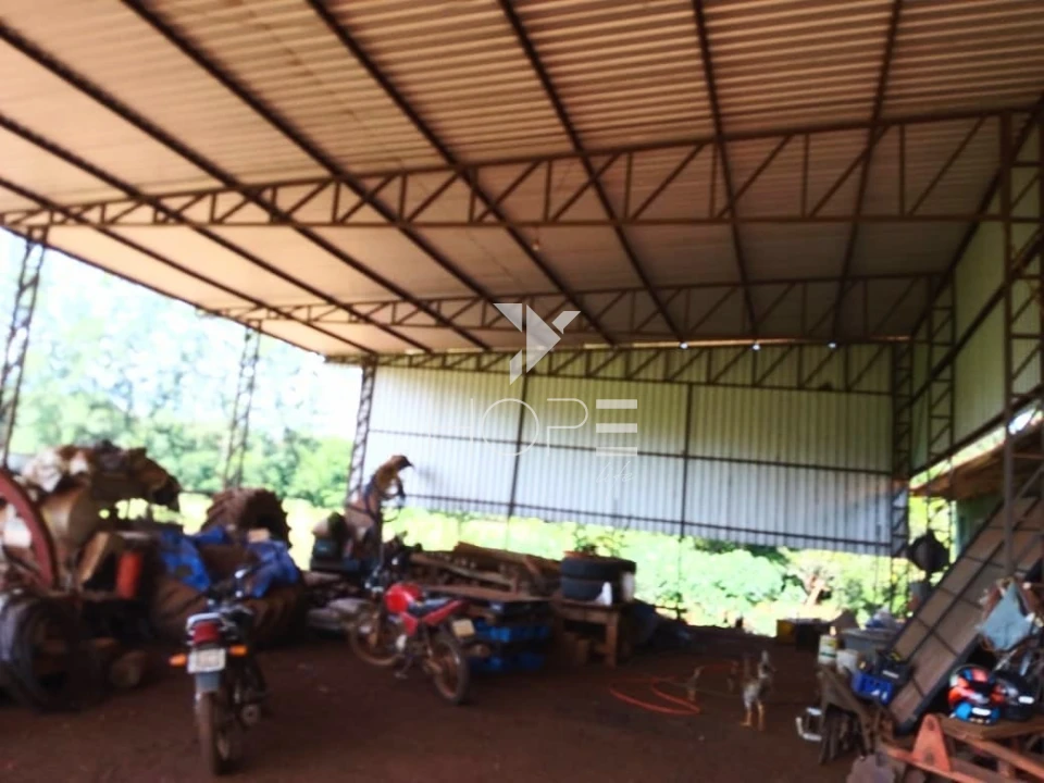 Fazenda à venda com 76 alqueires - pecuária com potencial agrícola - Guaravera - Londrina PR