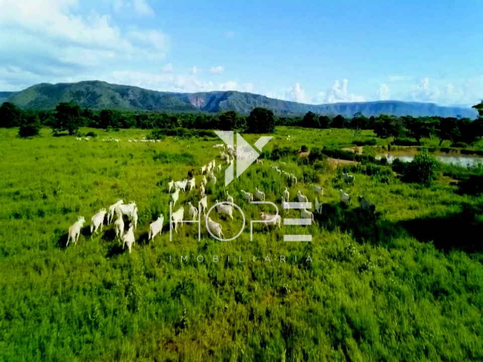 Fazenda à venda – 1.750 Alqueires (4.235 Hectares) – Alvorada do Norte/GO