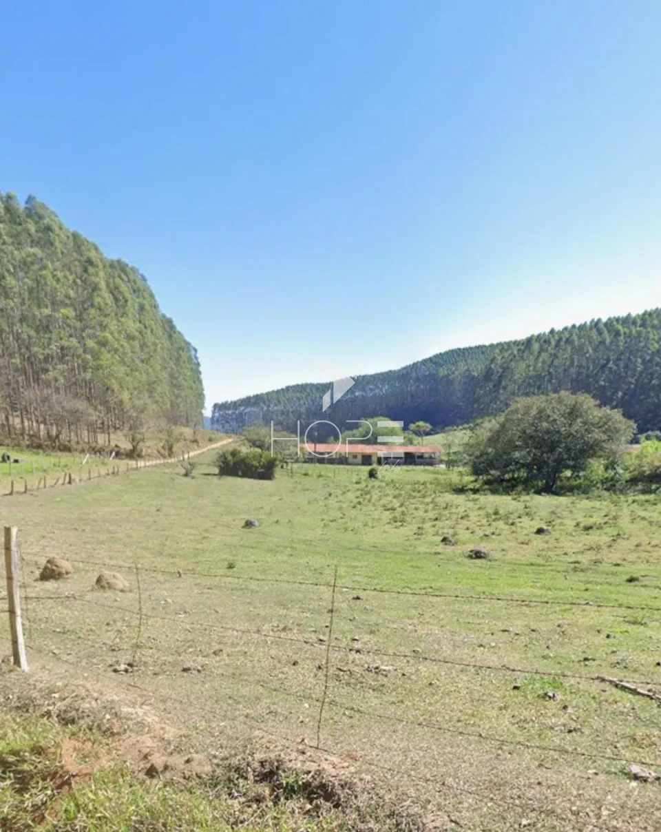 Imagens do imóveis Fazenda de eucalipto à venda com 124 alqueires - alto potencial florestal - Vale do Paraíba - Paraíbuna SP