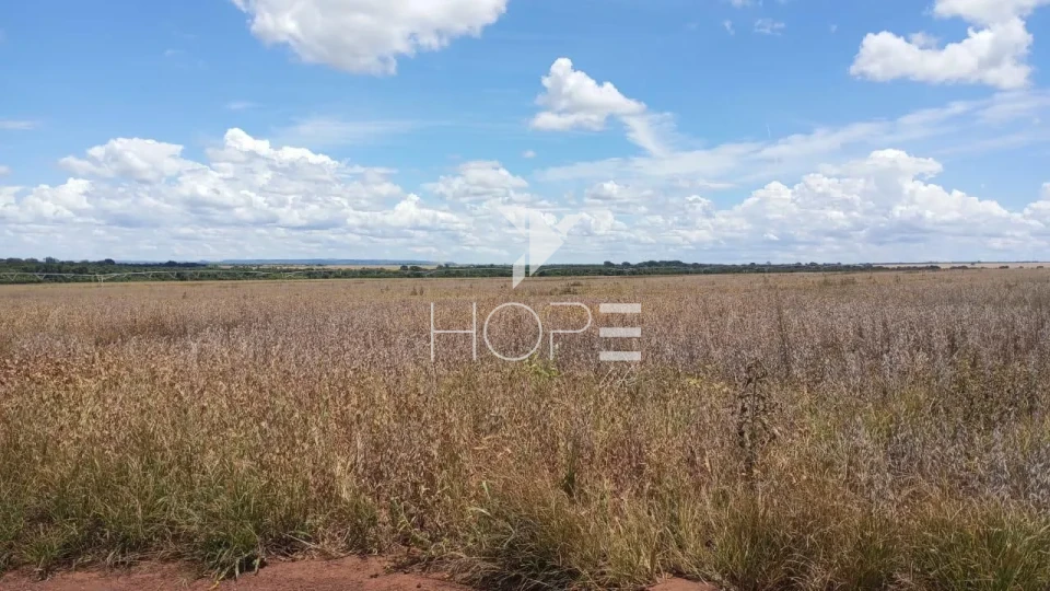 Imagens do imóveis Fazenda à venda com 33.000 hectares - agricultura em larga escala - estrutura completa - pista de pouso - Primavera do Leste MT