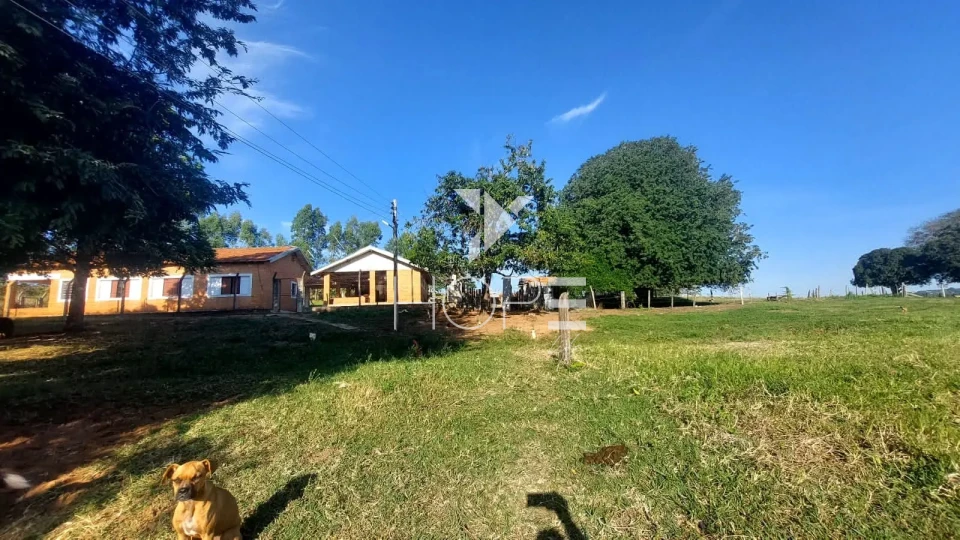 Imagens do imóveis Fazenda à venda com 204.5 alqueires - pecuária bovina - estrutura completa - região de Marília SP