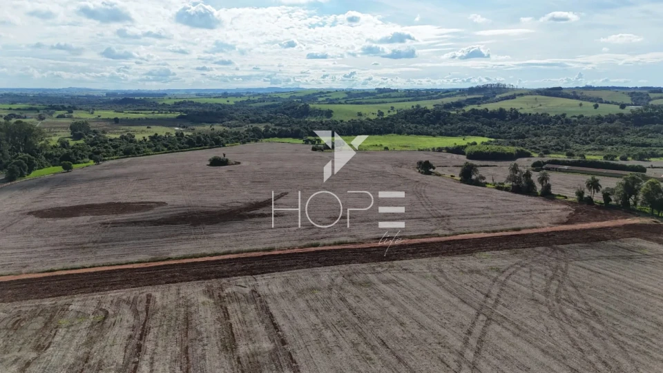 Imagens do imóveis Sítio à venda com 25 alqueires (61 hectares) - 15 alqueires em plantio - Itapetininga SP