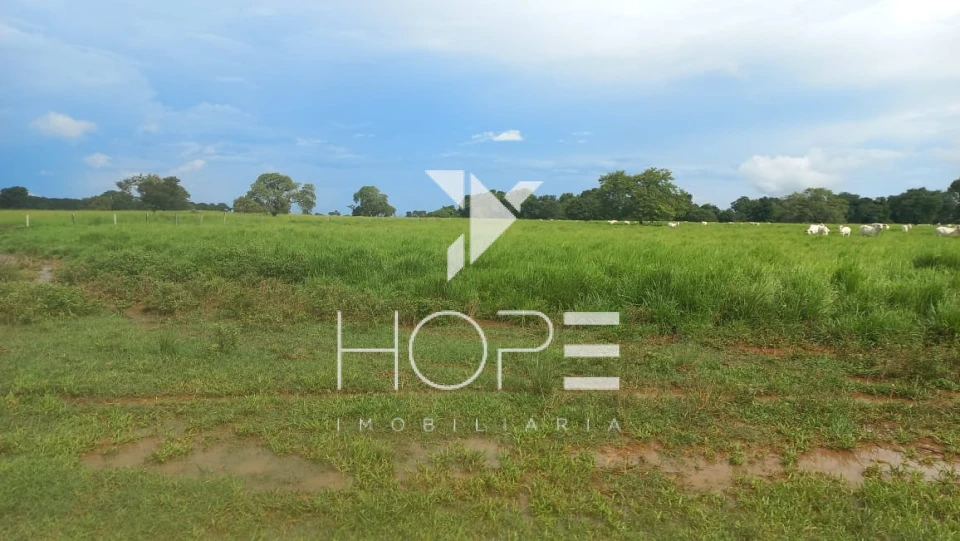 Imagens do imóveis Fazenda à Venda em Mundo Novo – 930 Alqueires – Dupla Aptidão – 47 Divisões de Pasto – Estrutura Completa de Pecuária