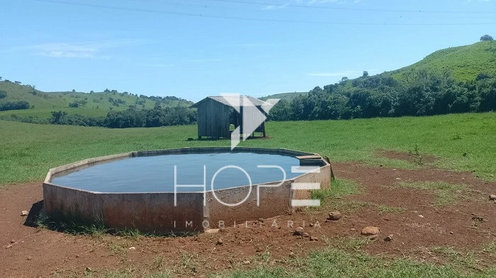 Imagens do imóveis Fazenda Porteira Fechada à Venda – 355 Alqueires – Nova Tebas/PR – Pecuária Montada (Nelore) – Estrutura Completa