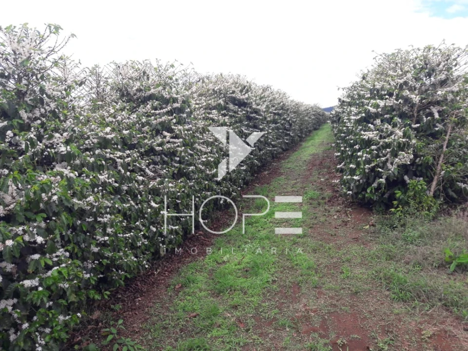 Imagens do imóveis fazenda cafeeira à venda 970 hectares produção de exportação – município de Capelinha – Minas Gerais