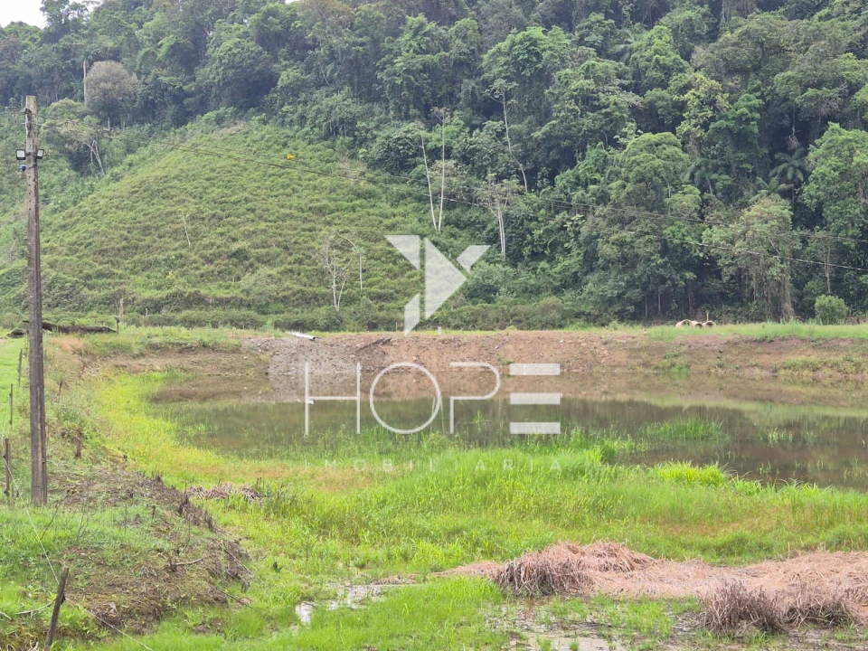 Imagens do imóveis Fazenda Produtiva à Venda na Região de Registro/SP – 174 Alqueires – Estrutura para Pecuária Leiteira – Abundância de Água