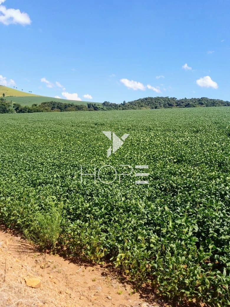 Imagens do imóveis Fazenda à Venda – 213 Alqueires – Jauru – Tomazina PR