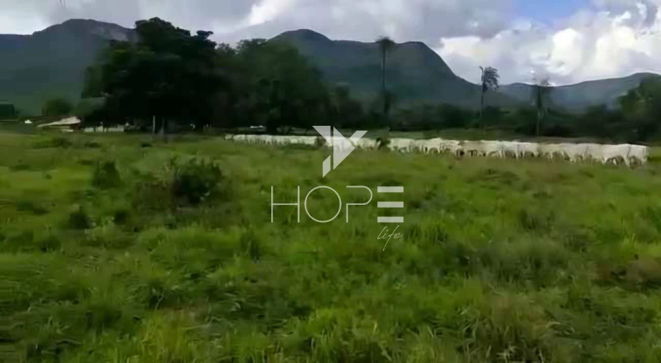 Imagens do imóveis Fazenda à venda 2.725 hectares pecuária porteira fechada – região de Monte Alegre de Goiás – Goiás