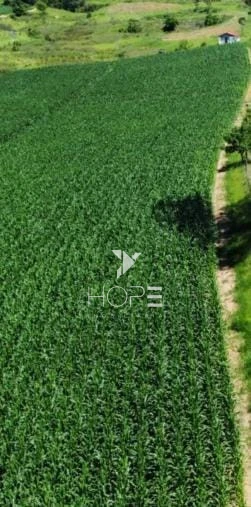 Imagens do imóveis Fazenda à venda 330 Alqueires – agricultura e pecuária estrutura completa – Vale do Paraíba – São Paulo