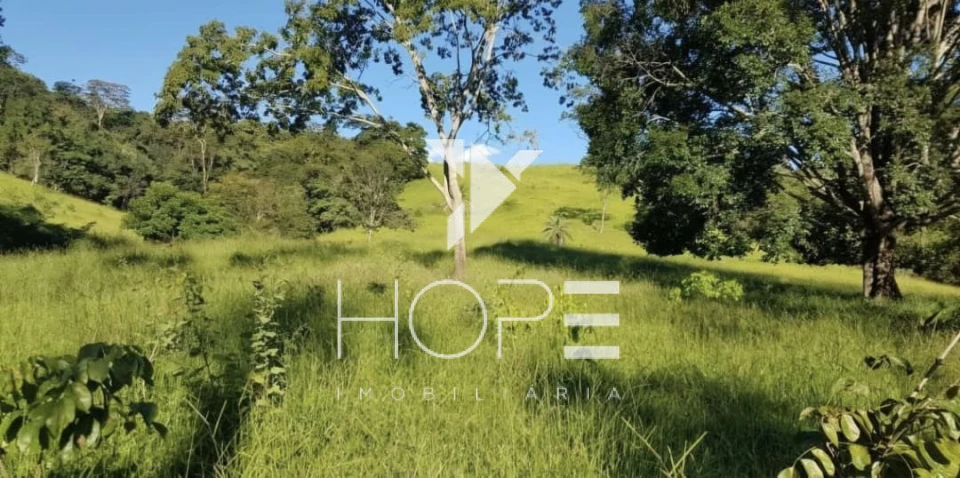 Imagens do imóveis Fazenda Dupla Aptidão - 112 Alqueires - Água Fria de Goiás GO - 542 Hectares - Boa de Água  - Eucalipto e Acácia