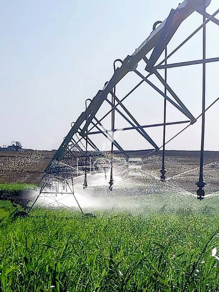 Imagens do imóveis Fazenda Leiteira Porteira Fechada à Venda – 78 Alqueires – Paranavaí/PR – Estrutura Completa + Usina Solar