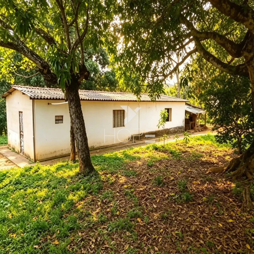 Fazenda à Venda com Aptidão Pecuária – 364 Hectáres – Três Marias/MG