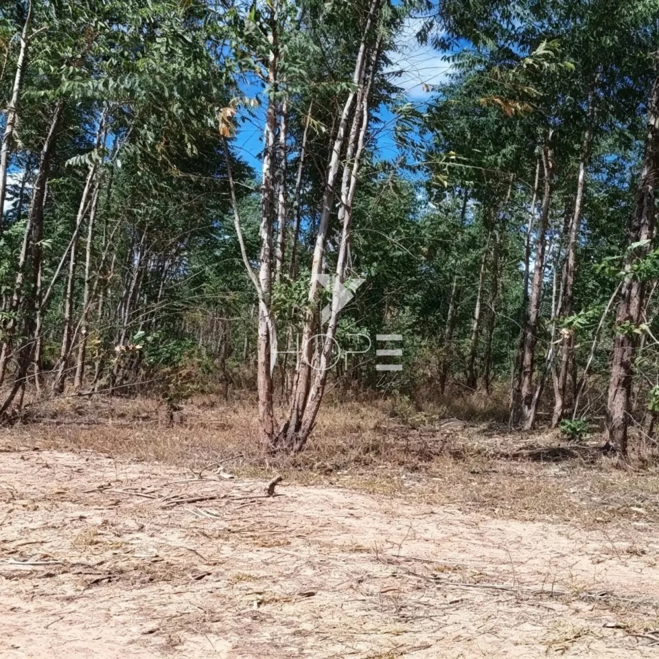Fazenda à Venda com Aptidão Pecuária e Florestal – 513 Hectares – Brasilândia de Minas/MG