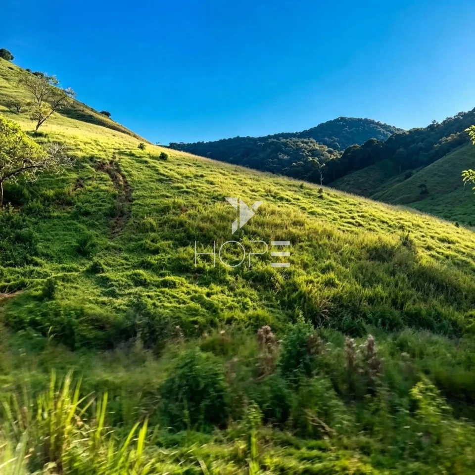 Imagens do imóveis Fazenda à Venda com Infraestrutura Completa – 294,30 Hectares – Carmésia/MG