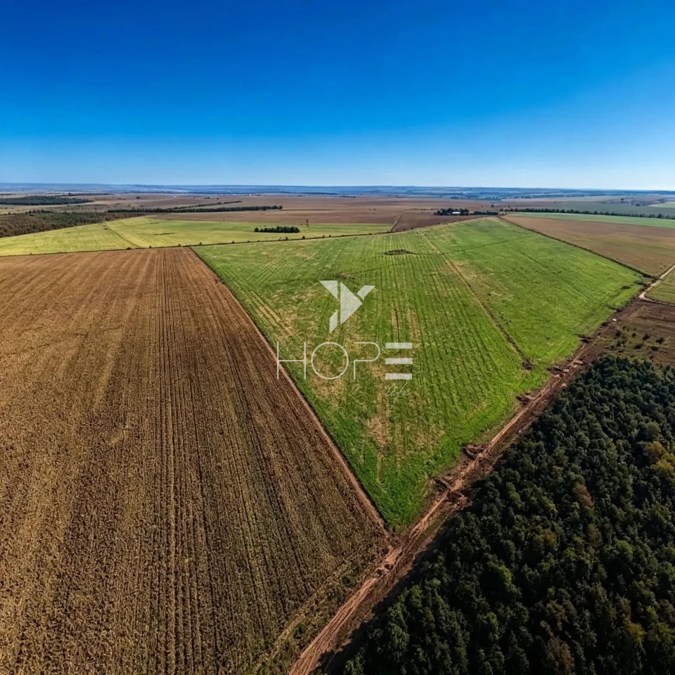 Imagens do imóveis Fazenda à Venda - Agricultura e Pecuária - Topografia Plana – 5.359 Hectares – Sonora – Sonora/MS