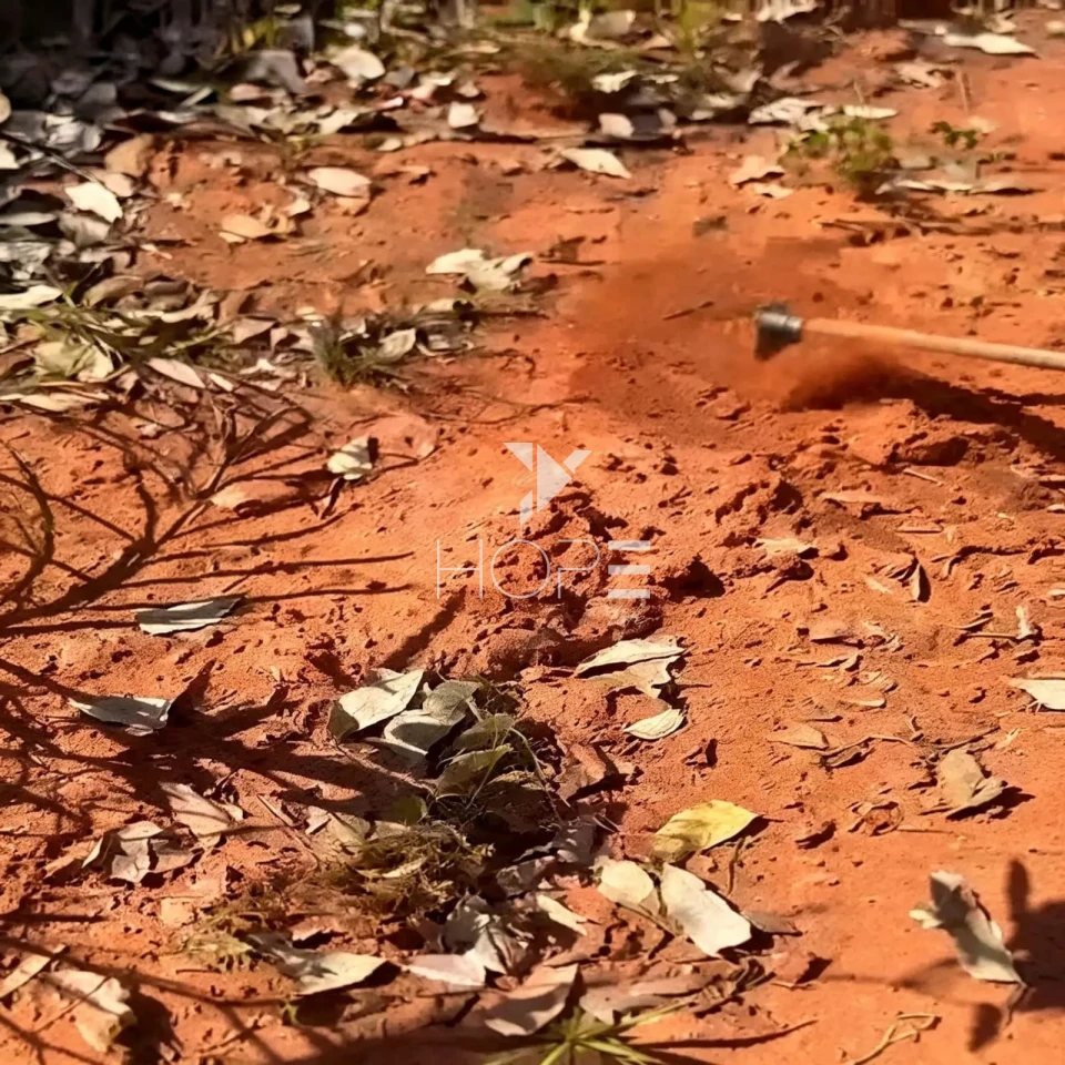 Mega Fazenda à Venda - Aptidão Agropecuária – 13.000 Hectares – Tocantins 