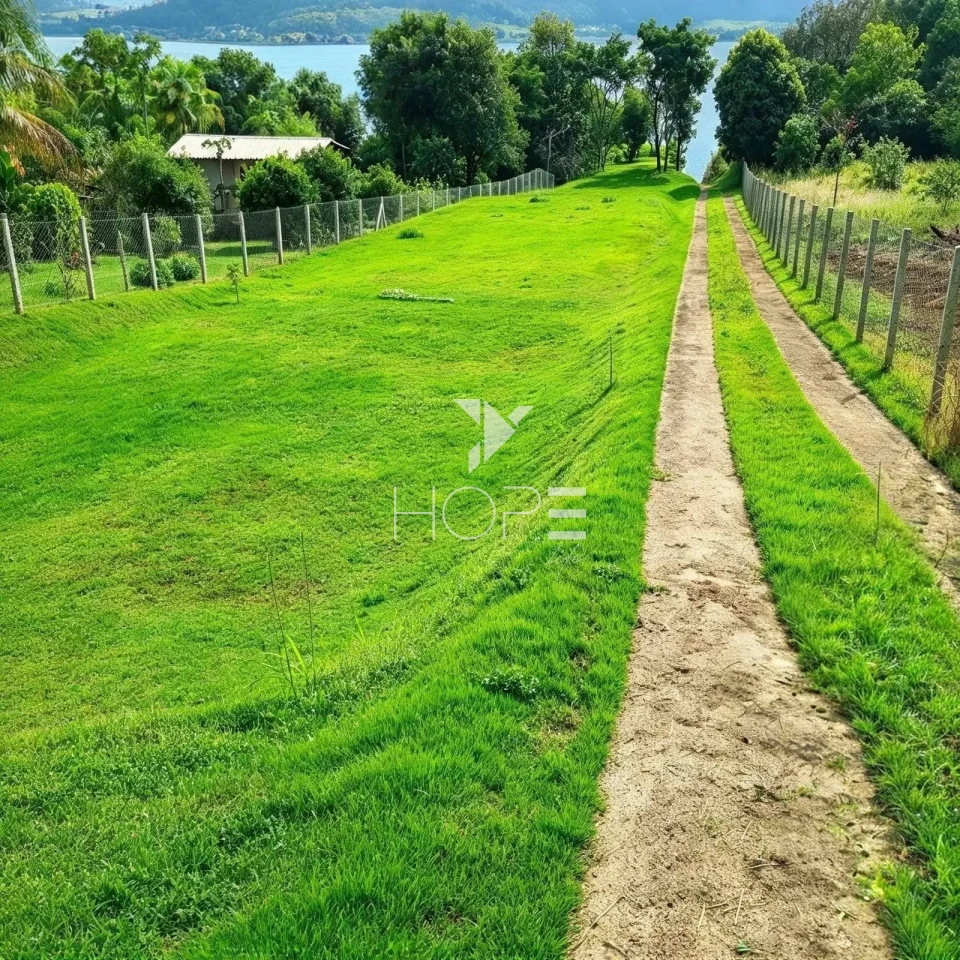 Imagens do imóveis Chácara á venda - Fundo para o rio Paranapanema - Alvorada do Sul/PR