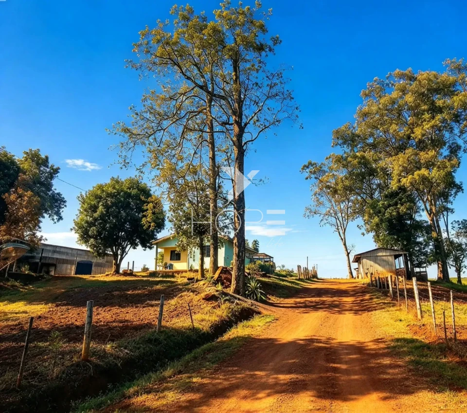 Imagens do imóveis Fazenda à Venda com Dupla Aptidão - Pecuária e Agricultura – 495 Alqueires – Francisco Beltrão – Francisco Beltrão/PR