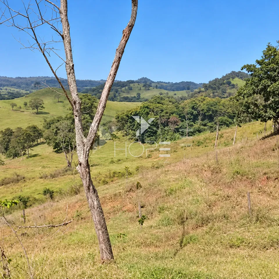 Imagens do imóveis Fazenda à Venda – Zona Rural – Rubiataba/GO
