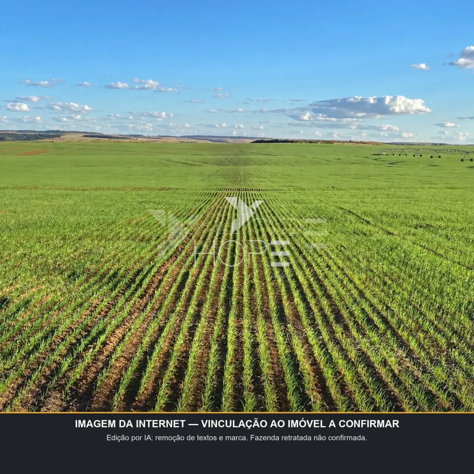 Imagens do imóveis Fazenda de Cafeicultura à Venda – 5.234,1462 Hectares – Cafeicultura Irrigada e Produção de Grãos – Unaí/MG