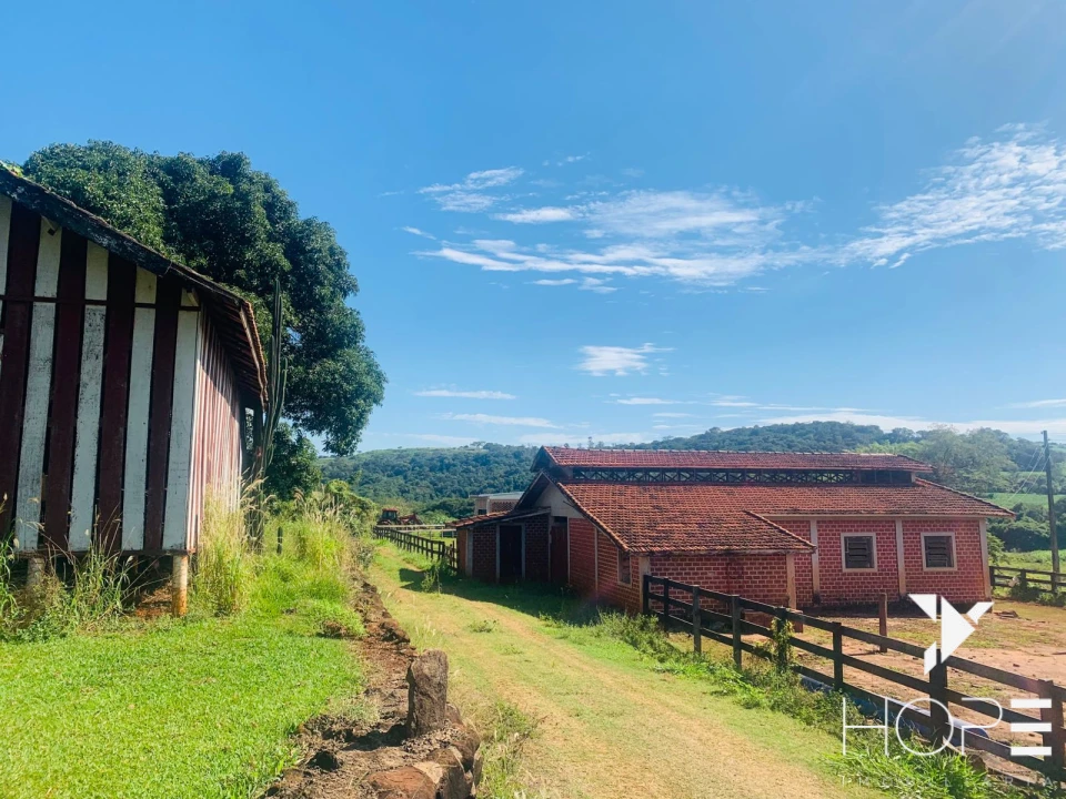 Imagens do imóveis Fazenda agrícola e pecuária à venda – 84 alqueires – Sertanópolis/PR