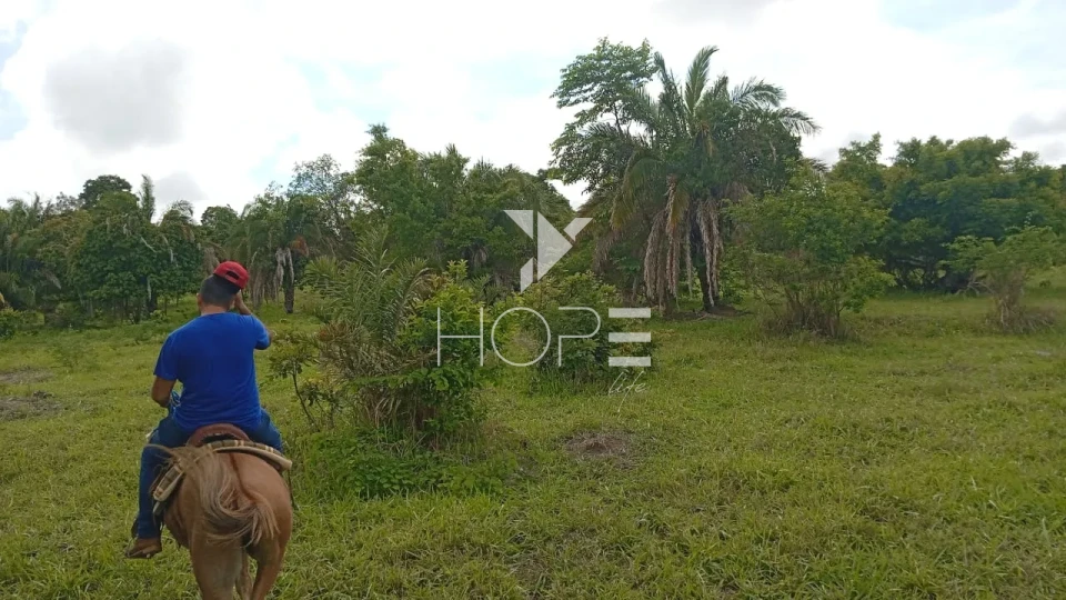 Imagens do imóveis Fazenda à venda com 72 alqueires - 55 em pasto - pronta - curral completo - região de Morro Agudo - Faina GO