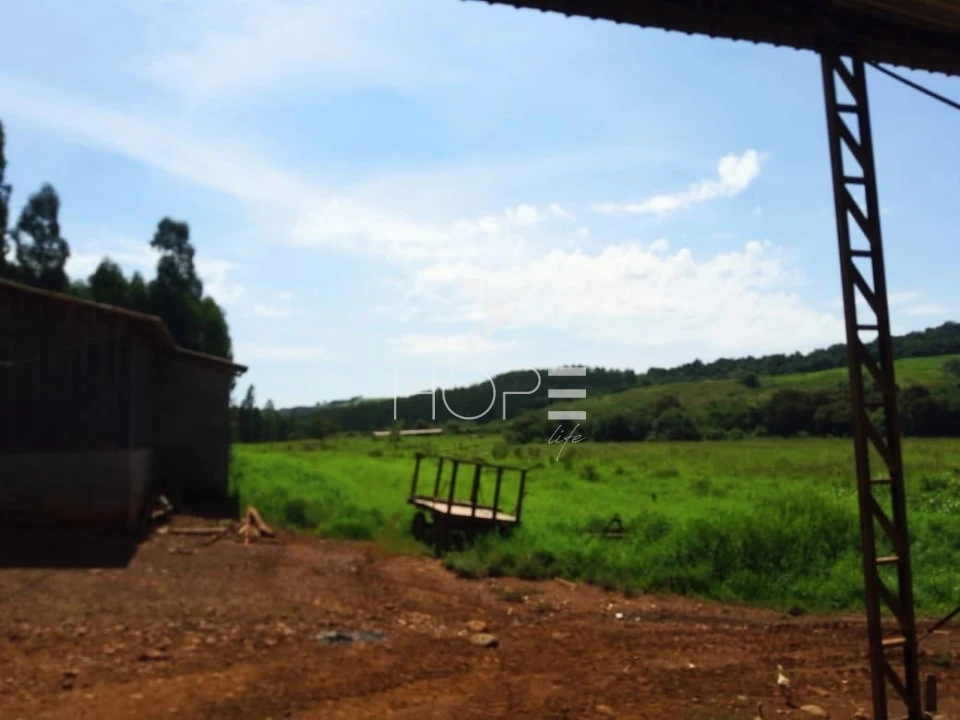 Fazenda à venda com 76 alqueires - pecuária com potencial agrícola - Guaravera - Londrina PR