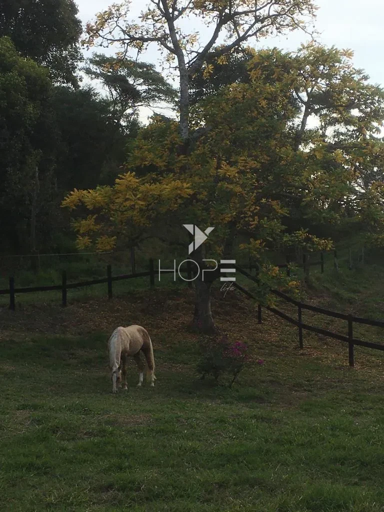 Imagens do imóveis Haras de alto padrão à venda com 7 alqueires - 36 baias - 26 piquetes - São Roque SP