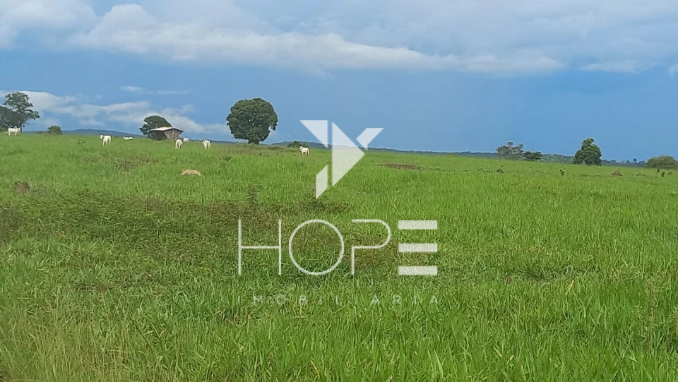 Imagens do imóveis Fazenda à Venda em Mundo Novo – 930 Alqueires – Dupla Aptidão – 47 Divisões de Pasto – Estrutura Completa de Pecuária