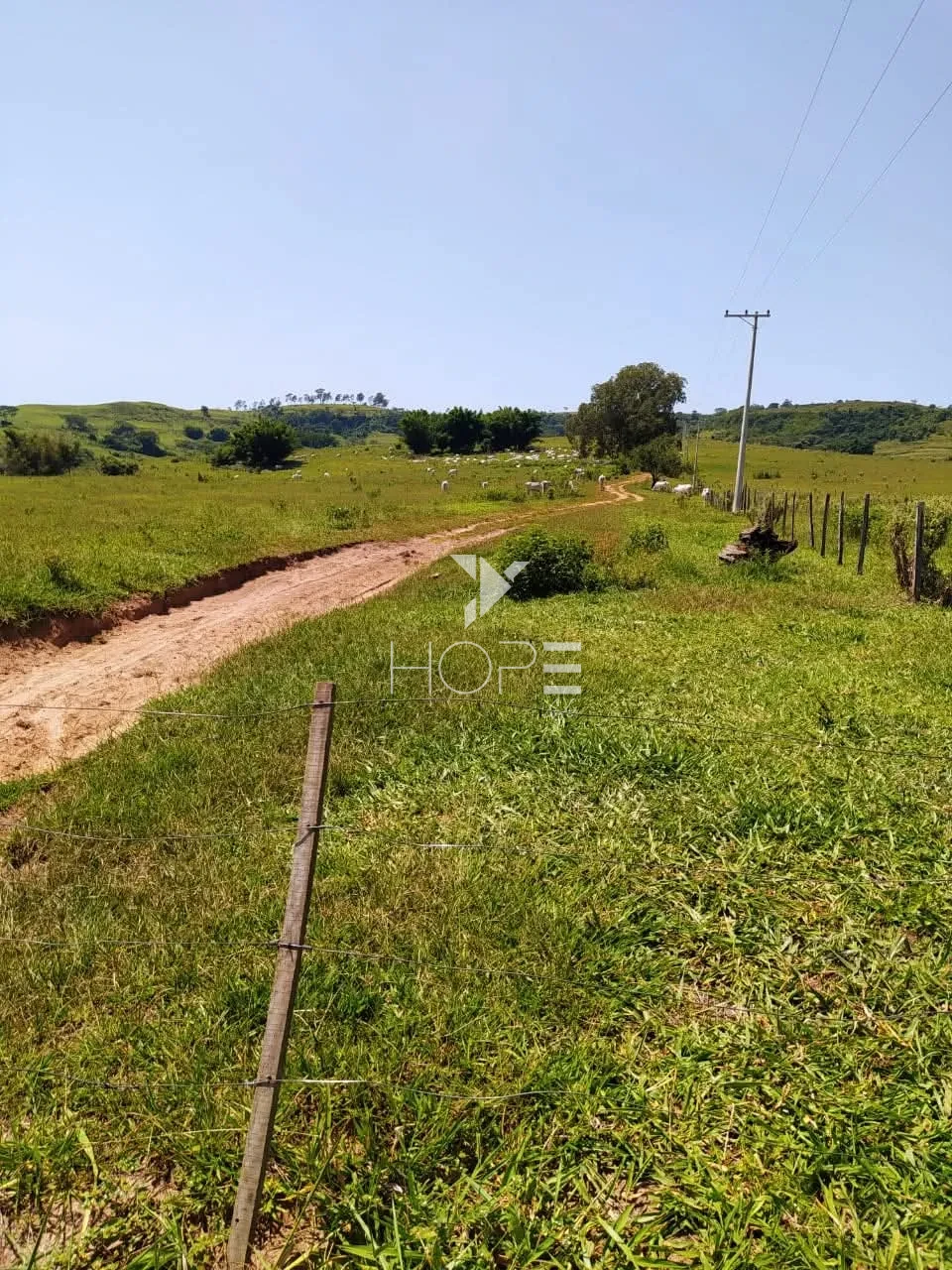 Imagens do imóveis Fazenda à venda com 204.5 alqueires - pecuária bovina - estrutura completa - região de Marília SP