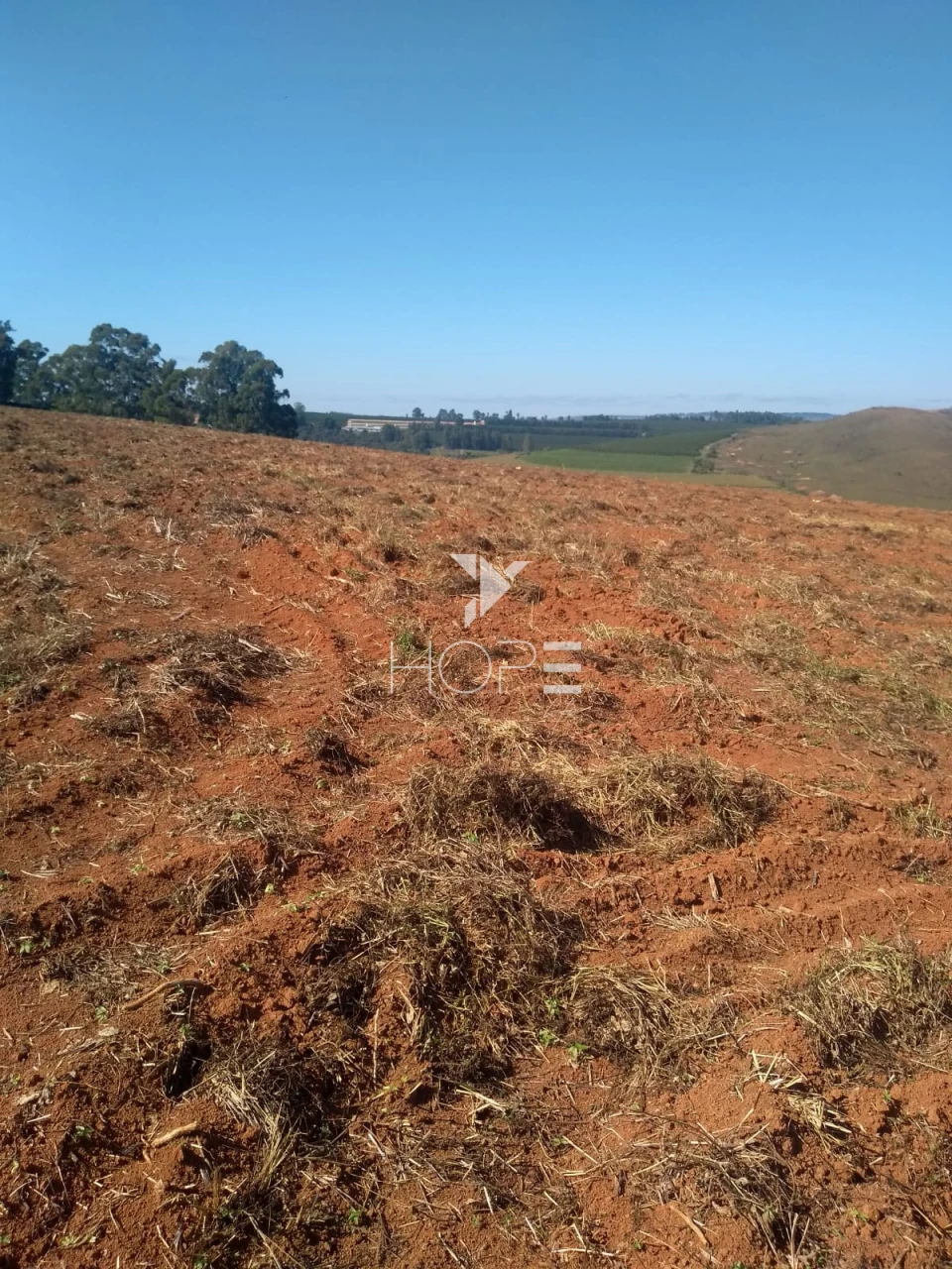 Imagens do imóveis Fazenda à venda 1.006 hectares cafeeira – região de Campos Altos – Minas Gerais